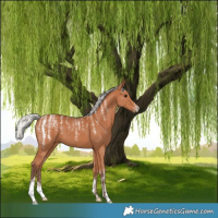 Horse Color:Powder White Silver Bay 