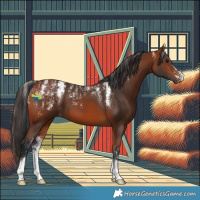 Horse Color:Powder White Bay 