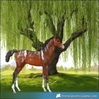 Horse Color:Powder White Bay 