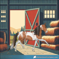 Horse Color:Powder White Bay Tobiano 