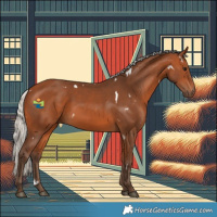 Horse Color:White Spotted Silver Bay 