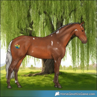 Horse Color:White Spotted Silver Bay 