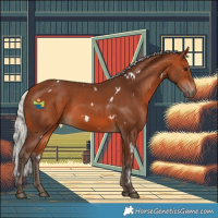 Horse Color:White Spotted Silver Bay 