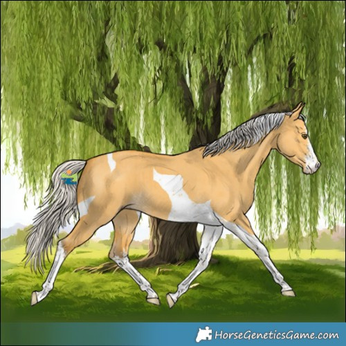 Horse Color:White Spotted Silver Buckskin Dun Tobiano Brindle 