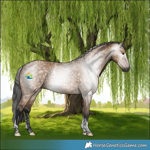 Horse Color:Powder White Gray Bay Dun Tobiano 