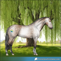 Horse Color:Powder White Gray Bay Dun Tobiano 