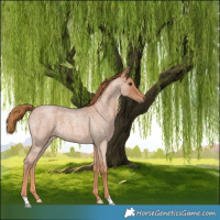 Horse Color:Red Roan