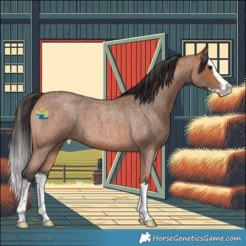 Horse Color:Bay Roan Splash 