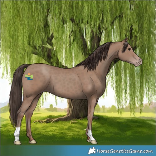 Horse Color:Classic Champagne 