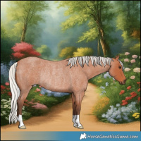 Horse Color:Silver Bay Roan Rabicano 