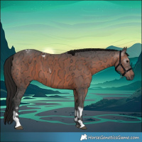 Horse Color:Gray Bay Ice Tobiano 