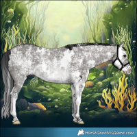 Horse Color:White Spotted Grullo Ice Sabino Splash 