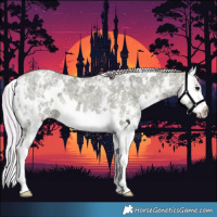 Horse Color:Watercolor White Spotted Silver Black Ice Sabino Splash 