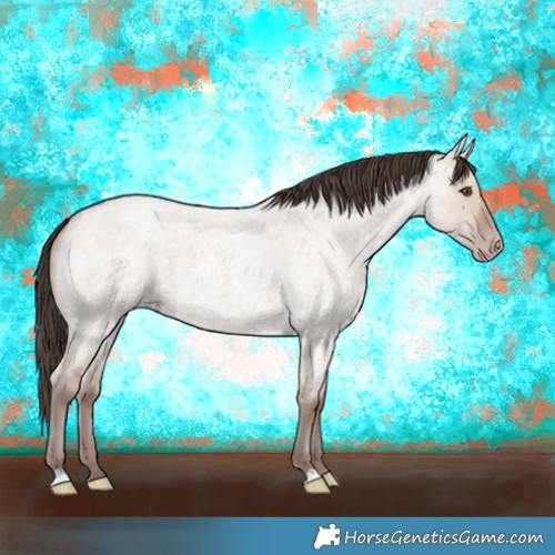 Horse Color:Classic Champagne Roan Dun 