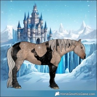 Horse Color:Void Silver Brown Dun Tobiano 