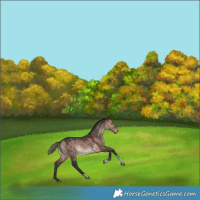 Horse Color:Bay Dun Mushroom Tobiano Varnish Rabicano 