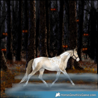 Horse Color:Bay Snowdrop Pearl Tobiano Varnish Rabicano 