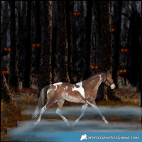 Horse Color:White Spotted Liver Chestnut Tobiano Varnish Rabicano 