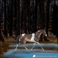 Horse Color:Bay Tobiano Snowflake Varnish Rabicano 