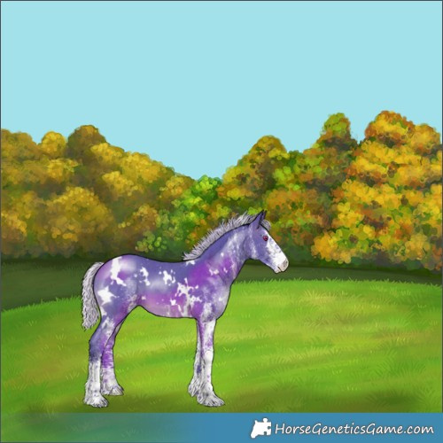 Horse Color:Watercolor White Spotted Silver Brown Chinchilla 