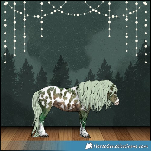 Horse Color:Watercolor White Spotted Silver Brown Ice Dun Appaloosa 