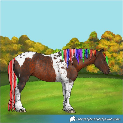 Horse Color:Painted Silver Brown Tobiano Rabicano 