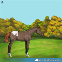 Horse Color:Liver Red Dun Varnish Brindle
