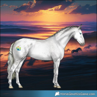 Horse Color:Gray Watercolor Liver Red Dun Ice Roan Splash Appaloosa