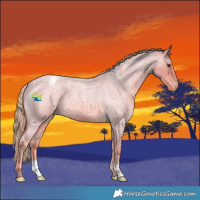 Horse Color:Watercolor Red Roan Appaloosa