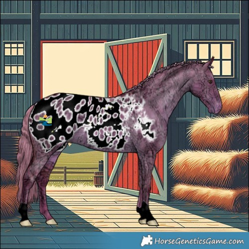 Horse Color:Watercolor Liver Red Dun Ice Appaloosa 