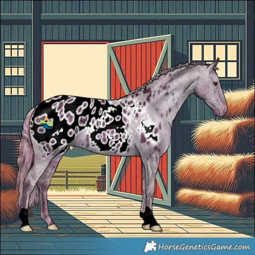 Horse Color:Watercolor Liver Red Dun Ice Appaloosa 
