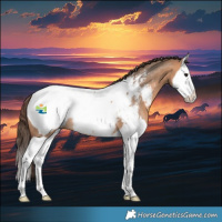Horse Color:Bay Dun Splash Appaloosa Rabicano