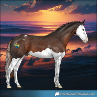 Horse Color:Liver Chestnut Splash Varnish 