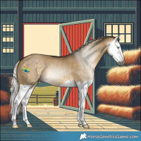 Horse Color:Gray Silver Buckskin Dun Splash 