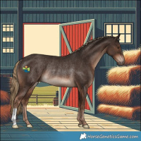 Horse Color:Liver Chestnut Rabicano