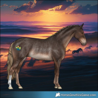 Horse Color:Liver Chestnut Rabicano 