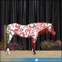 Horse Color:Painted Brown Roan Near Leopard 