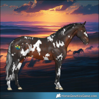 Horse Color:White Spotted Brown 