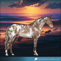 Horse Color:White Spotted Liver Red Dun Blanket Rabicano