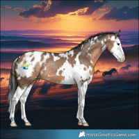 Horse Color:White Spotted Bay Dun Splash Varnish
