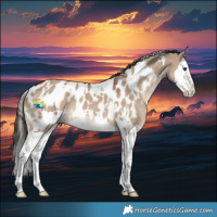 Horse Color:White Spotted Liver Red Dun Splash Appaloosa 