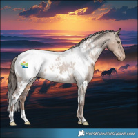 Horse Color:White Spotted Liver Red Dun Snowcap Rabicano 