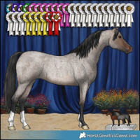 Horse Color:Brown Roan Dun Rabicano 