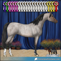 Horse Color:Brown Roan Dun Rabicano 