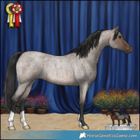 Horse Color:Brown Roan Dun Rabicano