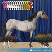 Horse Color:Brown Roan Dun Rabicano 