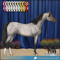Horse Color:Brown Roan Dun Rabicano 