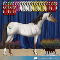 Horse Color:Liver Red Dun Roan Rabicano 