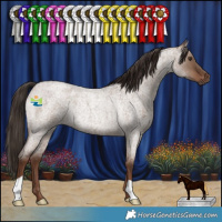 Horse Color:Liver Red Dun Roan Rabicano 