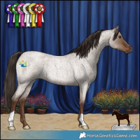 Horse Color:Liver Red Dun Roan Rabicano